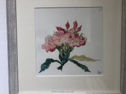 Exposición de Paz Araujo en Mula